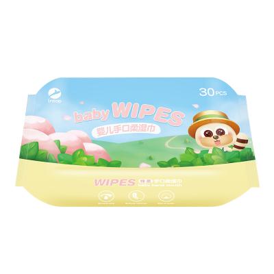 Individual Wet Wipes Package(30 Sheets)